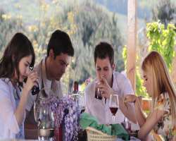 Hazal Kaya consuming alcohol